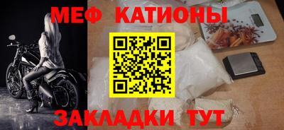 стаф Можга