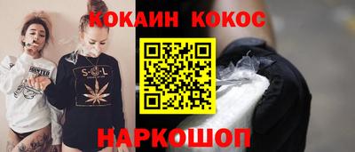 стаф Можга