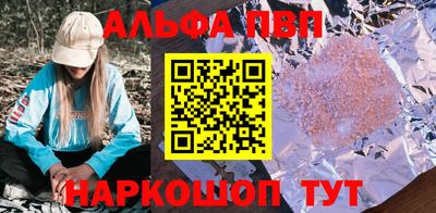 стаф Можга