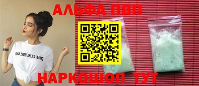 стаф Можга