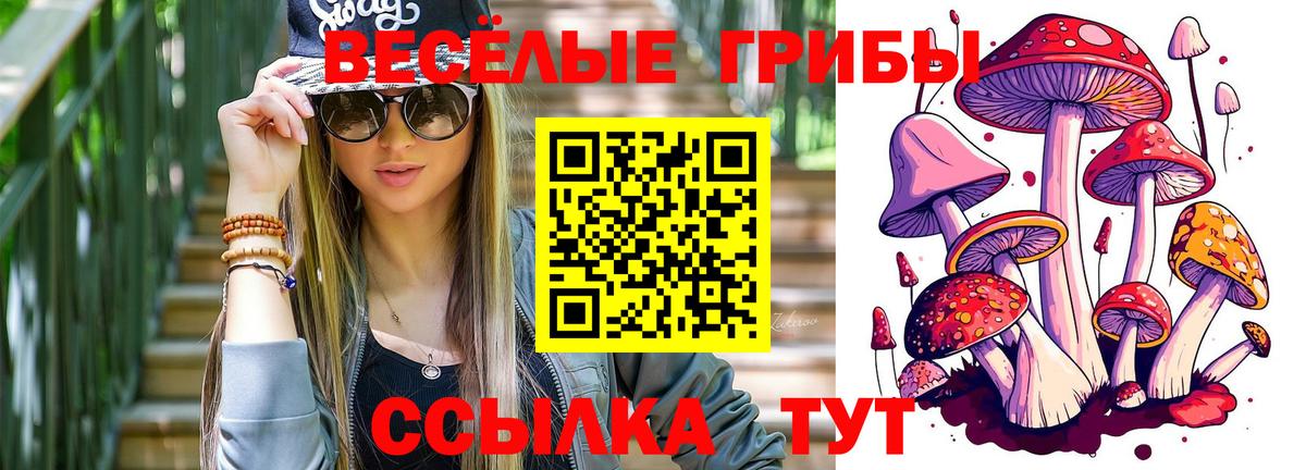 Галлюциногенные грибы мухоморы  Вход с VPN  Владикавказ  Галлюциногенные грибы Magic Shrooms 